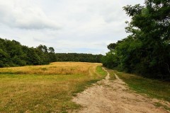 Région Aquitaine