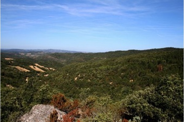 Région Langudedoc Roussillon