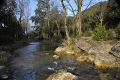 Région Langudedoc Roussillon