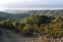 Région Languedoc Roussillon