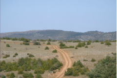 Région Languedoc Roussillon