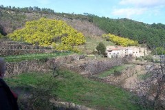 Région Languedoc Roussillon