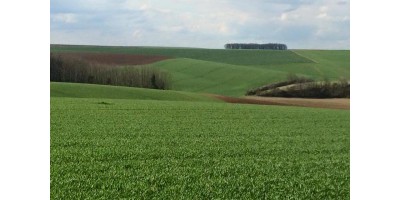 Battue dans l'Aisne