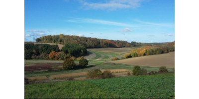 Perdrix Faisans dans l'Oise