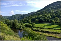 Approche au Mouflon en Haute Loire