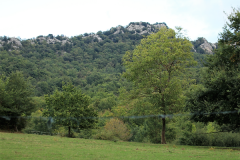 Battue Sangliers en Occitannie