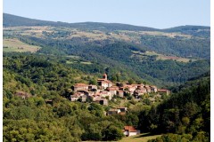 Battue Cervidés et Sangliers en Haute Loire