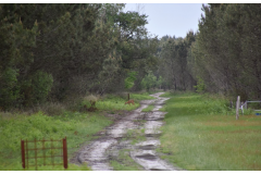 Chasse à la bécasse en Gironde