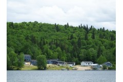 Ours Noir au Canada