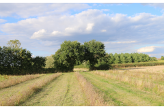 Chasse Mixte dans  l'Eure et loire