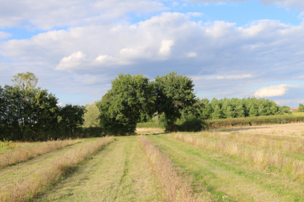 Chasse Mixte dans  l'Eure et loire