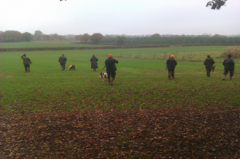 Chasse Mixte dans  l'Eure et loire