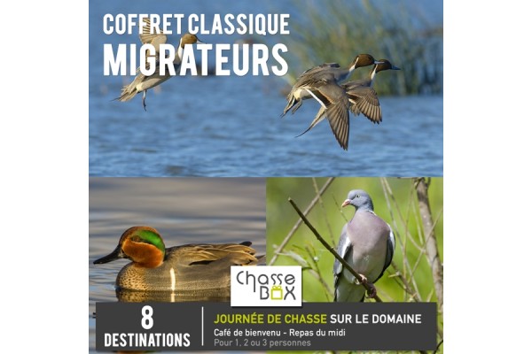 Box Classique Migrateur