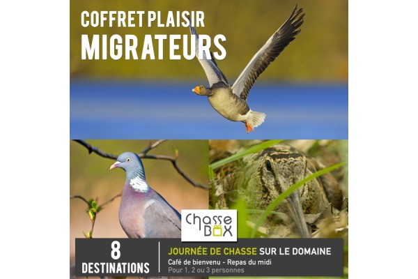 Box Plaisir Migrateur