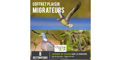 Box Multi-destinations  Migrateur 3