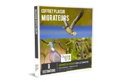 Box Classique Migrateur 