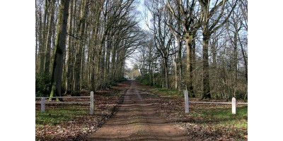 Perdrix Faisans dans la Sarthe