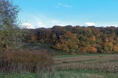 Battue Postée Marchante dans la Sarthe