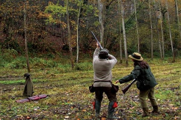 Battue Postée Marchante dans la Sarthe