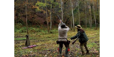 Battue Postée Marchante dans la Sarthe