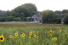 Perdrix Faisans dans la Vienne