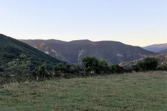 Battue Sangliers dans l'Aude