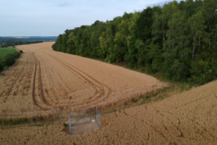 Perdrix Faisans dans la Meuse