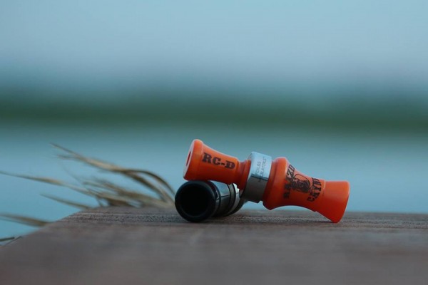 Chasse dans la baie du Mont Saint Michel