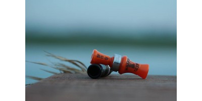 Chasse au Gabion dans le pays de la baie du Mont Saint Michel