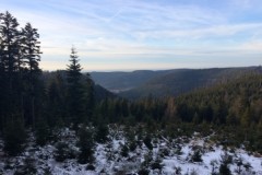 Battue Grands Gibiersvdans les Vosges