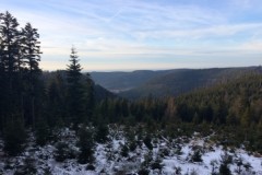 Battue Grands Gibiersvdans les Vosges