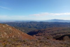 Battue Sangliers Pyrénnées Orientale