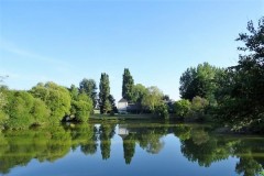 Bécasse en Indre et Loire