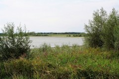 Perdrix Faisans dans l'Indre et Loire