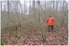 Perdrix Faisans en Corrèze 