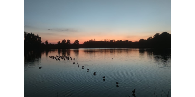Chasse à la hutte dans la Marne