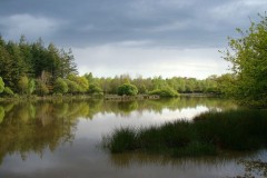 Pêche dans les Deux Sèvres