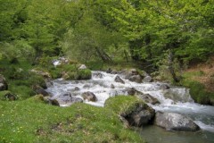 Pêche dans les Pyrénées...