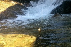 Pêche en Ardèche