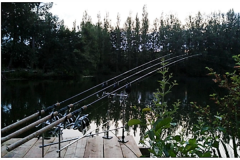 Pêche à la Carpe dans l'Oise