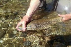 Stage de Pêche en Ardèche...