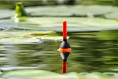Pêche Loisir en Maine et Loire