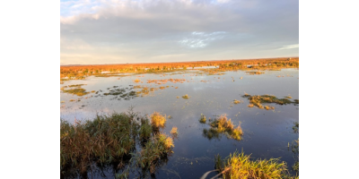 SEJOUR NATURE CUISNE CHASSE EN LOIRE ATLANTIQUE
