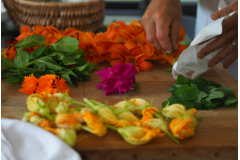 NATURE COMESTIBLE CUISINE...