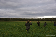 weekend chasse